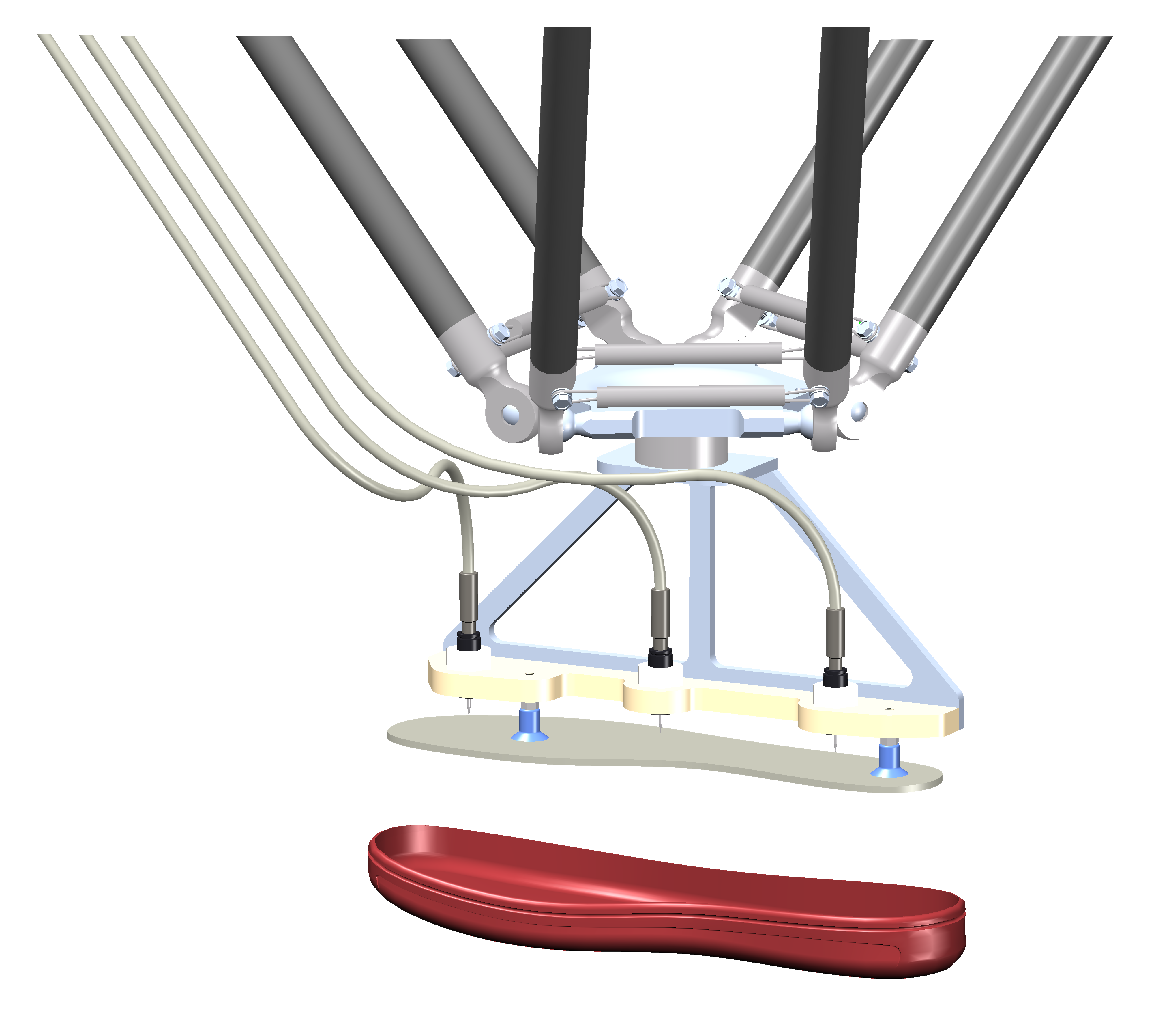 Shoe Sole Application 03